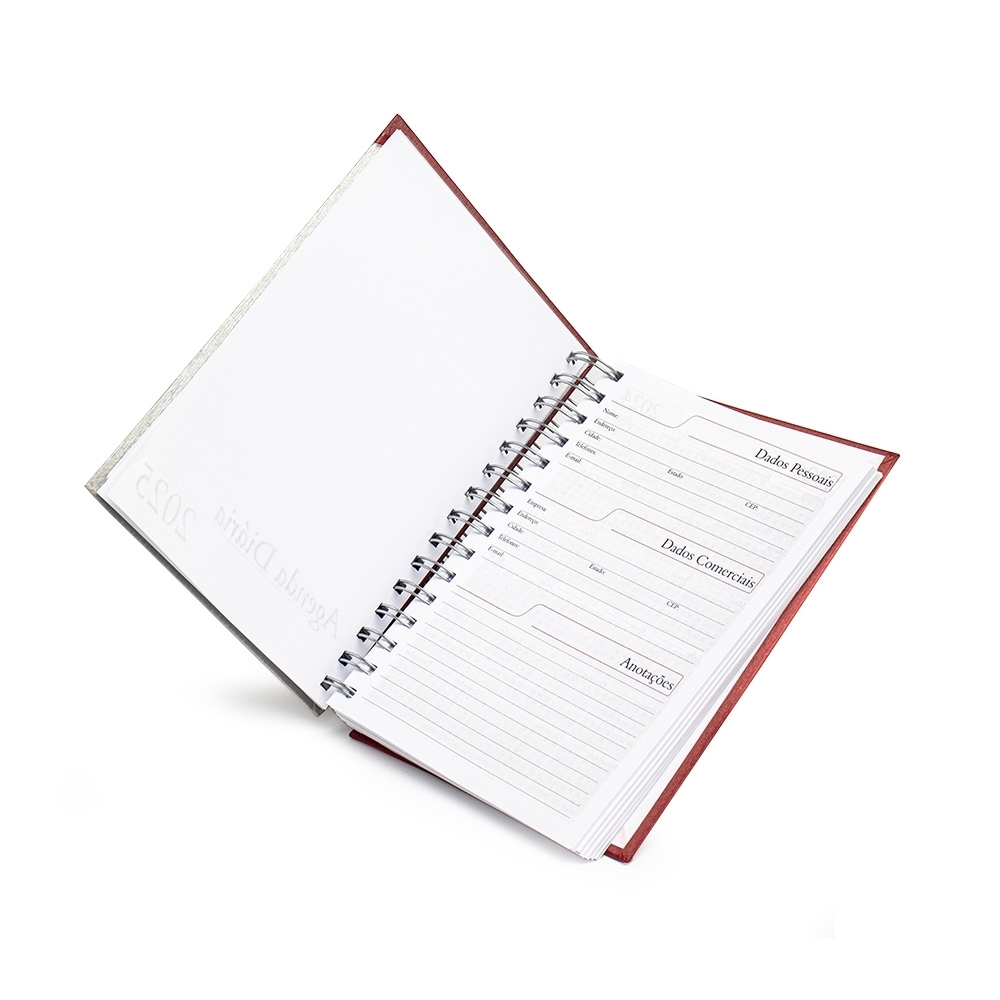 Agenda Diária 2026 Personalizada