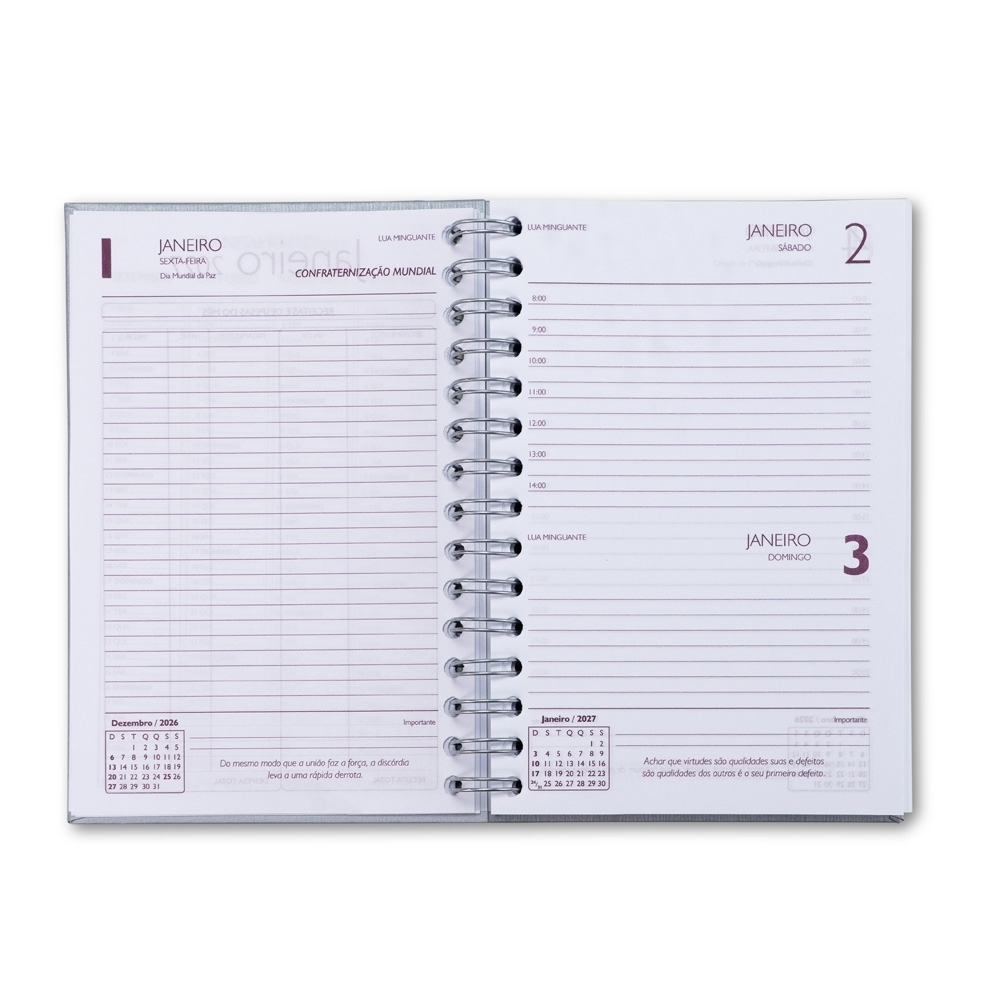 Agenda Diária 2027 Personalizada