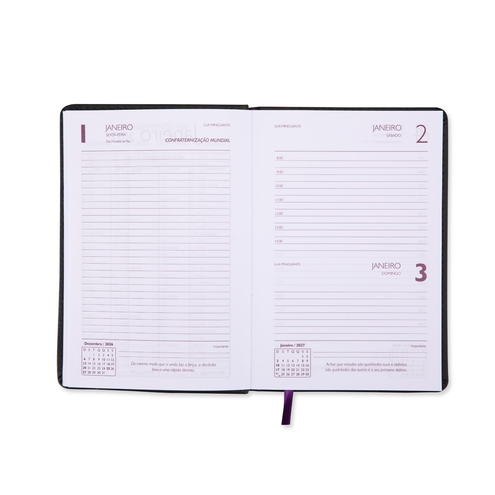 Agenda Diária 2027 Personalizada