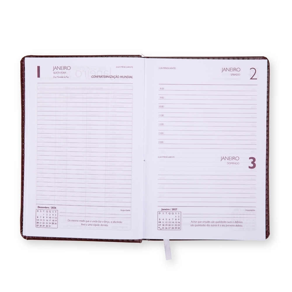 Agenda Diária 2027 Personalizada