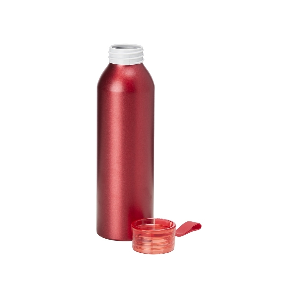 Garrafa de Aluminio 650ml Personalizada